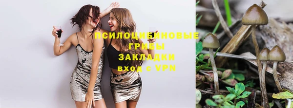 a pvp Горнозаводск