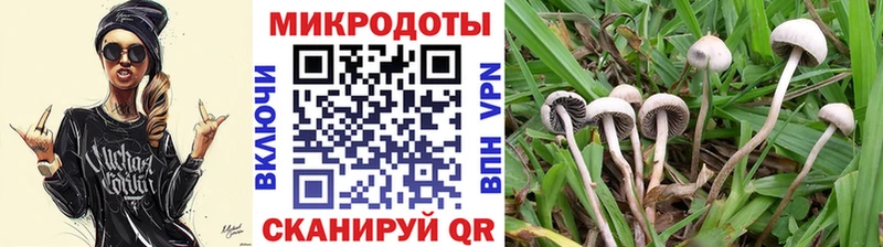 ОМГ ОМГ ссылки  дарнет шоп  Гусиноозёрск  Псилоцибиновые грибы мицелий 